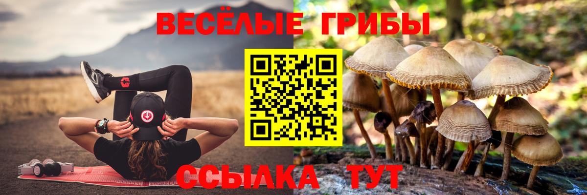 Галлюциногенные грибы Magic Shrooms Миллерово